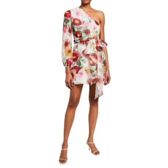 NWT La Maison Talulah Garland Mini Dress Womens Small Cream Red Floral One Arm